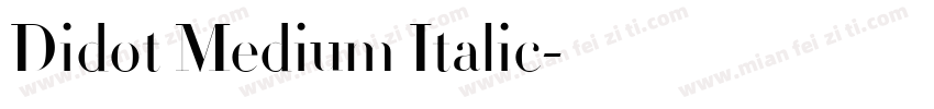 Didot Medium Italic字体转换